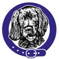 dog spaniel in a collar logo, hand drawn vector illustration sketch