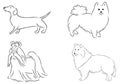 4 dog`s breeds Royalty Free Stock Photo