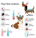 Dog`s fever symptoms.Infographic icons with different signs and reasons of high temperature.Canine healthcare.Veterinary banner.