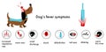 Dog`s fever symptoms.Infographic icons with different signs and reasons of high temperature.Canine healthcare.Veterinary banner.