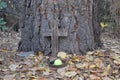 Dog`s grave site with cross ball and collar.