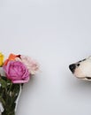 Dog`s nose and bouquet of roses in a glass vase. White background, free space for design