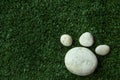 Dog`s paw made of pebble stone on green grass Royalty Free Stock Photo