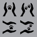 Dog`s paws in hands of people1