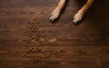 Dog\'s red paws lying on wooden floor next to dry food laid out in shape of Christmas tree. View from above. The concept of Royalty Free Stock Photo