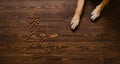 Dog\'s red paws lying on wooden floor next to dry food laid out in shape of Christmas tree. View from above. The concept of Royalty Free Stock Photo