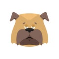 Dog sad emoji. Pet sorrowful emotions. bulldog dull. Vector illustration