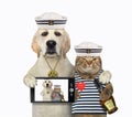 Dog with cat have fun together Royalty Free Stock Photo