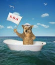 Dog in the bathtub on the sea Royalty Free Stock Photo