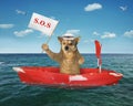 Dog sailor in a red boat Royalty Free Stock Photo