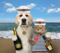 Dog sailor with wine hugs cat 2 Royalty Free Stock Photo