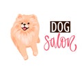 Dog salon, Pet grooming logo design template. Hair salon for animals. Royalty Free Stock Photo