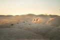 dog on a sandy quarry at sunset. Jack Russell Terrier through the hills of sand. Active pet