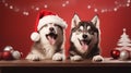 Dog in Santa Hat and Christmas Costume ,Festive Pet Photography. Royalty Free Stock Photo