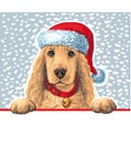 Dog in Santa hat Royalty Free Stock Photo