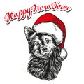 Dog in Santa stocking hat, Santa Claus, Christmas symbol hand drawn vector illustration realistic sketch. Royalty Free Stock Photo