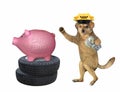 Dog saves money for car Royalty Free Stock Photo