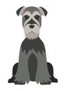 dog schnauzer illustration