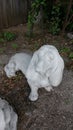 Dog sculpture