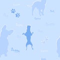 Dog seamless pattern. Print with pit bull dogs, American Staffordshire Terrier and french bulldog.