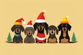 Dog winter hat christmas dachshund background pet xmas santa animal holiday celebration Royalty Free Stock Photo