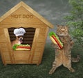 Dog sells hot dogs