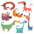 Cartoon dogs set  vector illustration Royalty Free Stock Photo