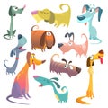 Cartoon dogs set. Vector illustrations of dogs Royalty Free Stock Photo