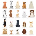 Dog set. Collection of dogs of various breed Royalty Free Stock Photo