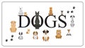 Dog set. Collection of dogs of various breed Royalty Free Stock Photo