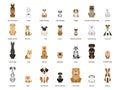 Dog set. Collection of dogs of various breed Royalty Free Stock Photo