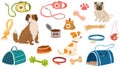 Pet shop assortment, dogs accessories.