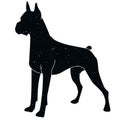 dog shadow animal icon silhouettes isolated on dark black graphical in white Royalty Free Stock Photo