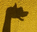 Dog shadow on yellow wall, opening mouse. Barking Royalty Free Stock Photo