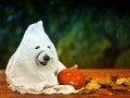 Dog in a sheet as a Ghost with a burning pumpkin on Halloween eve, sitting in the garden Royalty Free Stock Photo