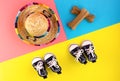 Dog shoes, straw hat, treat on a colored background. Concept of walking with a pet in the Park Royalty Free Stock Photo