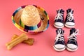 Dog shoes, a straw hat, a treat on a pink background. Concept of walking with a pet in the Park Royalty Free Stock Photo