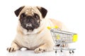 Dog shopping trolly isolated on white background. shopper Royalty Free Stock Photo