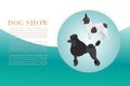 Dog show with poodel and bulldog breeds vector illustration poster. Big size dogs for home pets. Happy and friendly dogs
