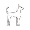 dog side view linear illustration. Pets and grooming