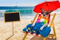 Dog siesta on beach chair Royalty Free Stock Photo