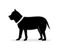 Dog silhouette. Boxer animal. Black canine isolated on white background. Standing puppy icon. Drawing pet labrador. Symbol for Royalty Free Stock Photo