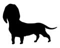 Dog silhouette, dachshund breed. Side view pet stand icon in black color. Make used for dog show, competition, pet store