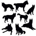 Dog Silhouette Set Royalty Free Stock Photo