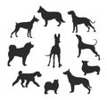 Dog silhouette set. Background vector illustration Royalty Free Stock Photo