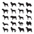 Dog Silhouette Set Vector and Icon