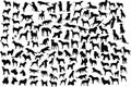 Dog silhouettes Royalty Free Stock Photo