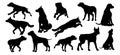 Dog Silhouettes Animal Set Royalty Free Stock Photo