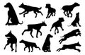 Dog Silhouettes Animal Set Royalty Free Stock Photo