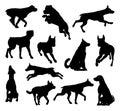 Dog Silhouettes Animal Set Royalty Free Stock Photo